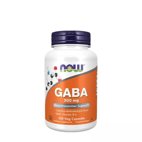 Now GABA 500 mg 100 Veg Capsules